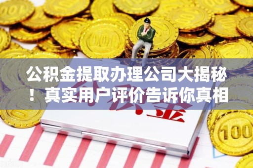 武平公积金提取办理公司大揭秘！真实用户评价告诉你真相
